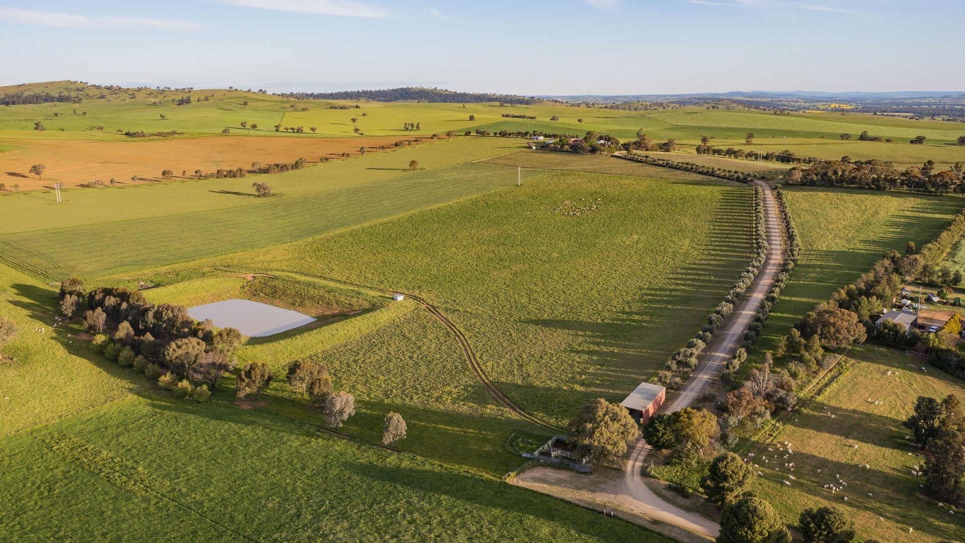 For Sale - 562 Pattersons Road - New Property in Wagga Wagga - Real Estate by Andrew Pellow