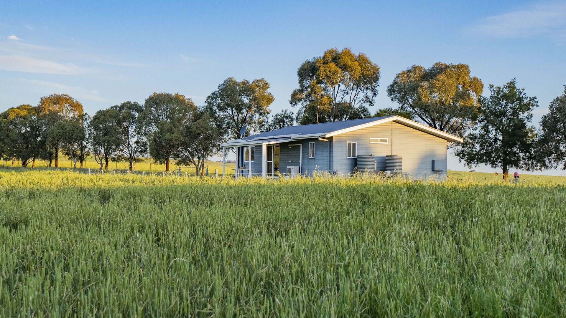 For Sale - 562 Pattersons Road - New Property in Wagga Wagga - Real Estate by Andrew Pellow