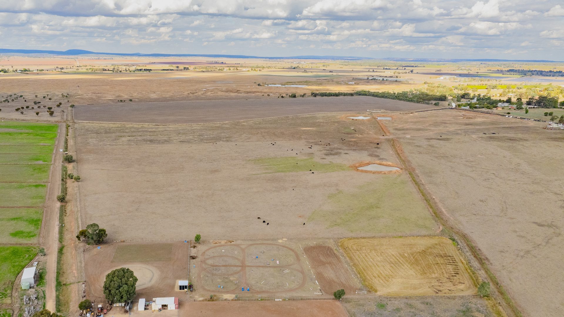 For Sale - 420 Petersham Road - New Property in Leeton - Real Estate by Andrew Pellow
