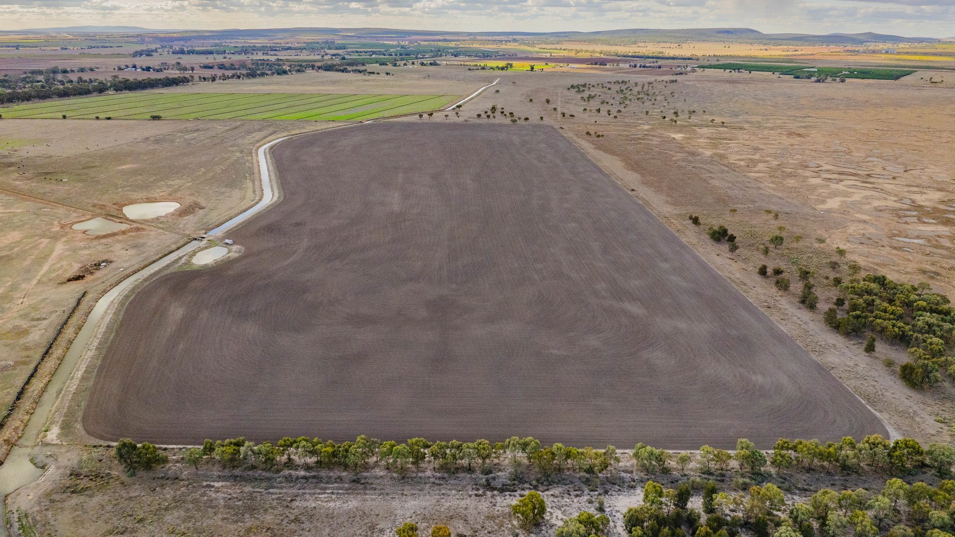 For Sale - 420 Petersham Road - New Property in Leeton - Real Estate by Andrew Pellow