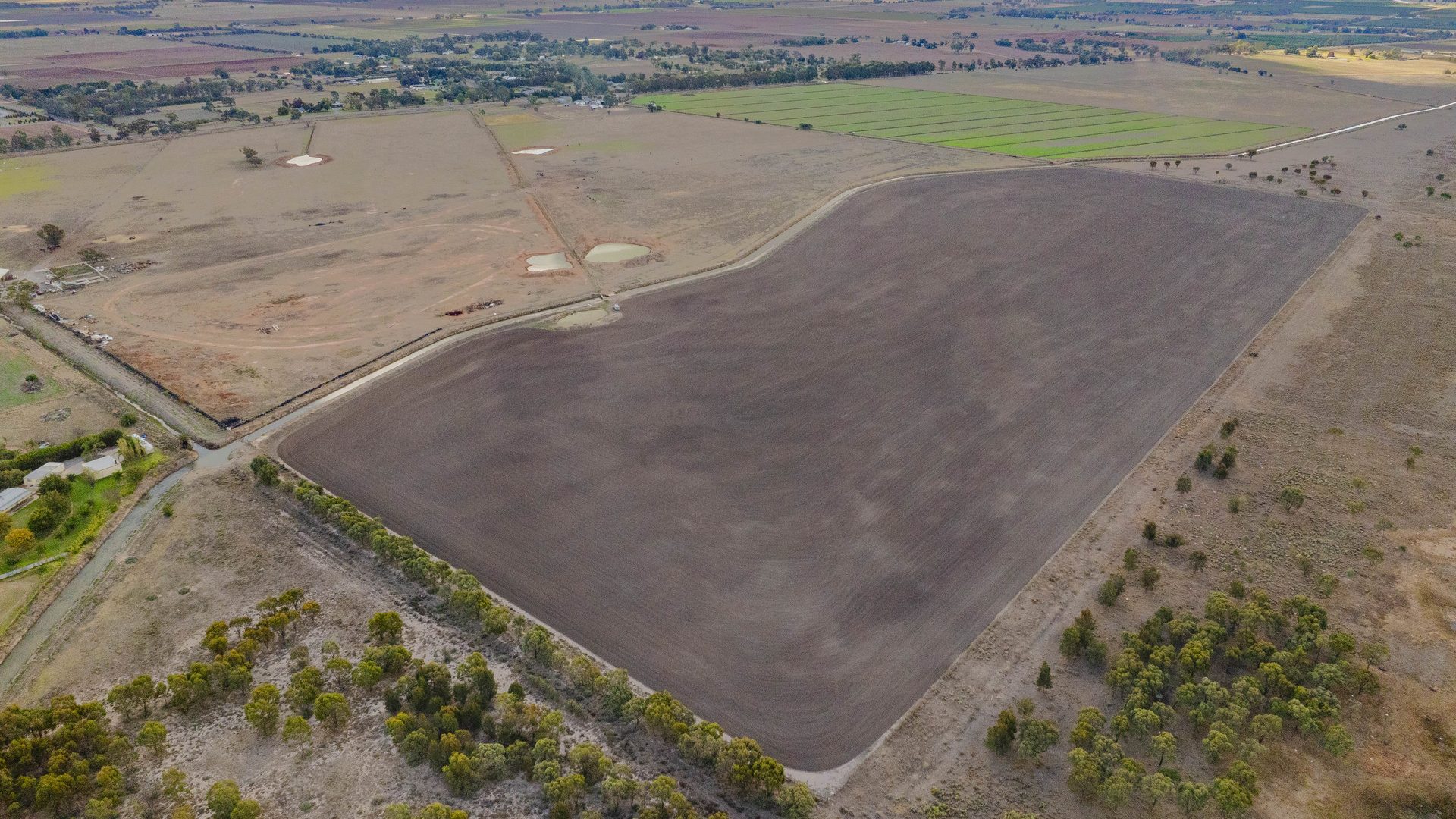 For Sale - 420 Petersham Road - New Property in Leeton - Real Estate by Andrew Pellow
