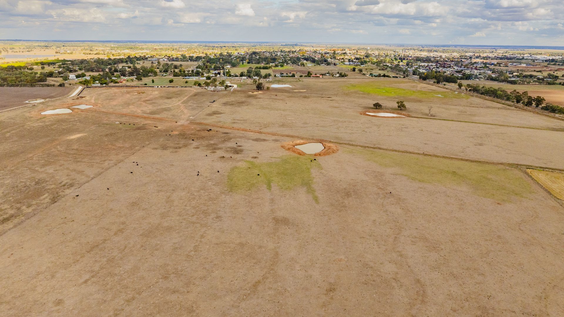 For Sale - 420 Petersham Road - New Property in Leeton - Real Estate by Andrew Pellow