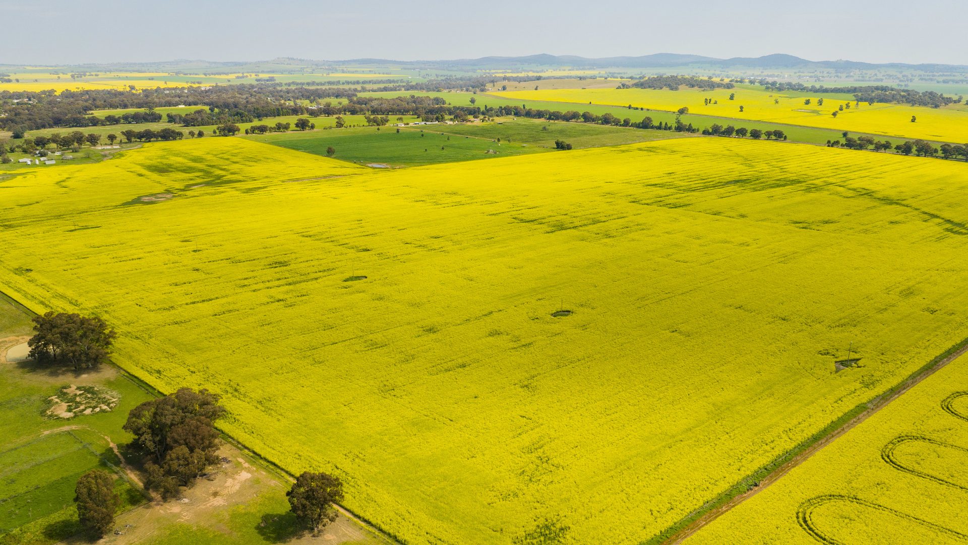 For Sale - 93 Racecourse Lane - New Property in Stockinbingal - Real Estate by Craig Pellow