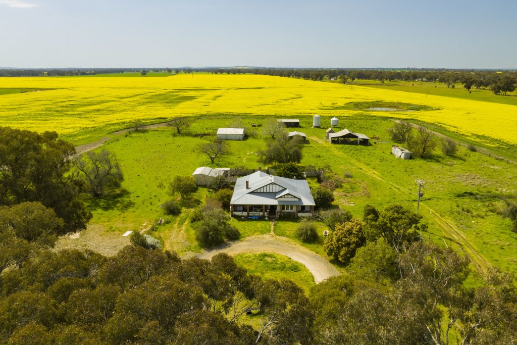 For Sale - 93 Racecourse Lane - New Property in Stockinbingal - Real Estate by Craig Pellow