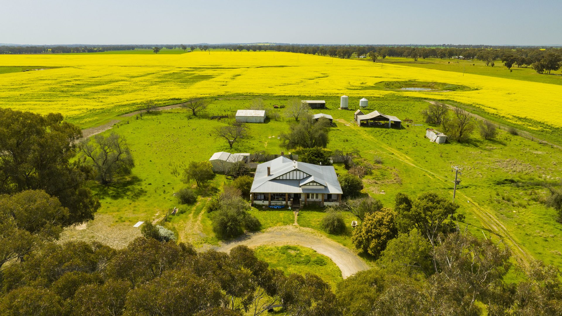 For Sale - 93 Racecourse Lane - New Property in Stockinbingal - Real Estate by Craig Pellow