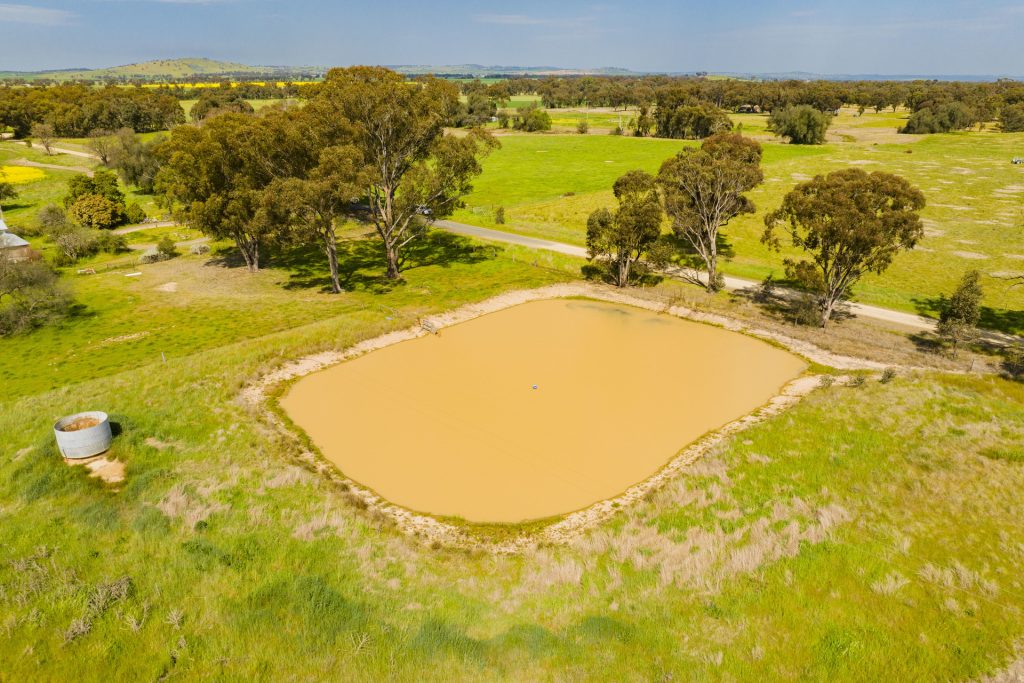 For Sale - 93 Racecourse Lane - New Property in Stockinbingal - Real Estate by Craig Pellow