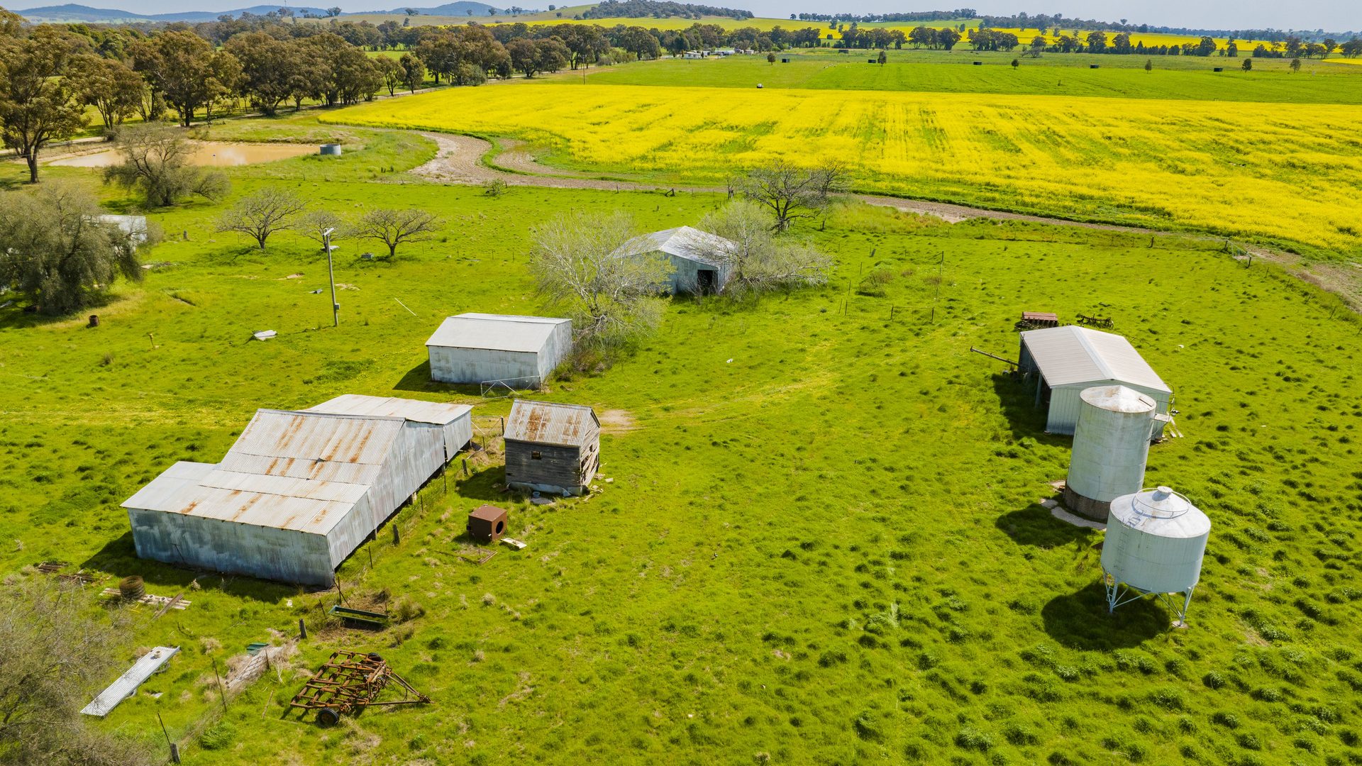 For Sale - 93 Racecourse Lane - New Property in Stockinbingal - Real Estate by Craig Pellow