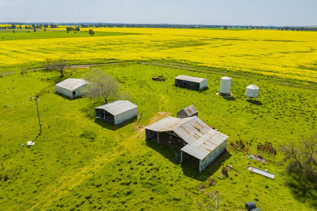 For Sale - 93 Racecourse Lane - New Property in Stockinbingal - Real Estate by Craig Pellow