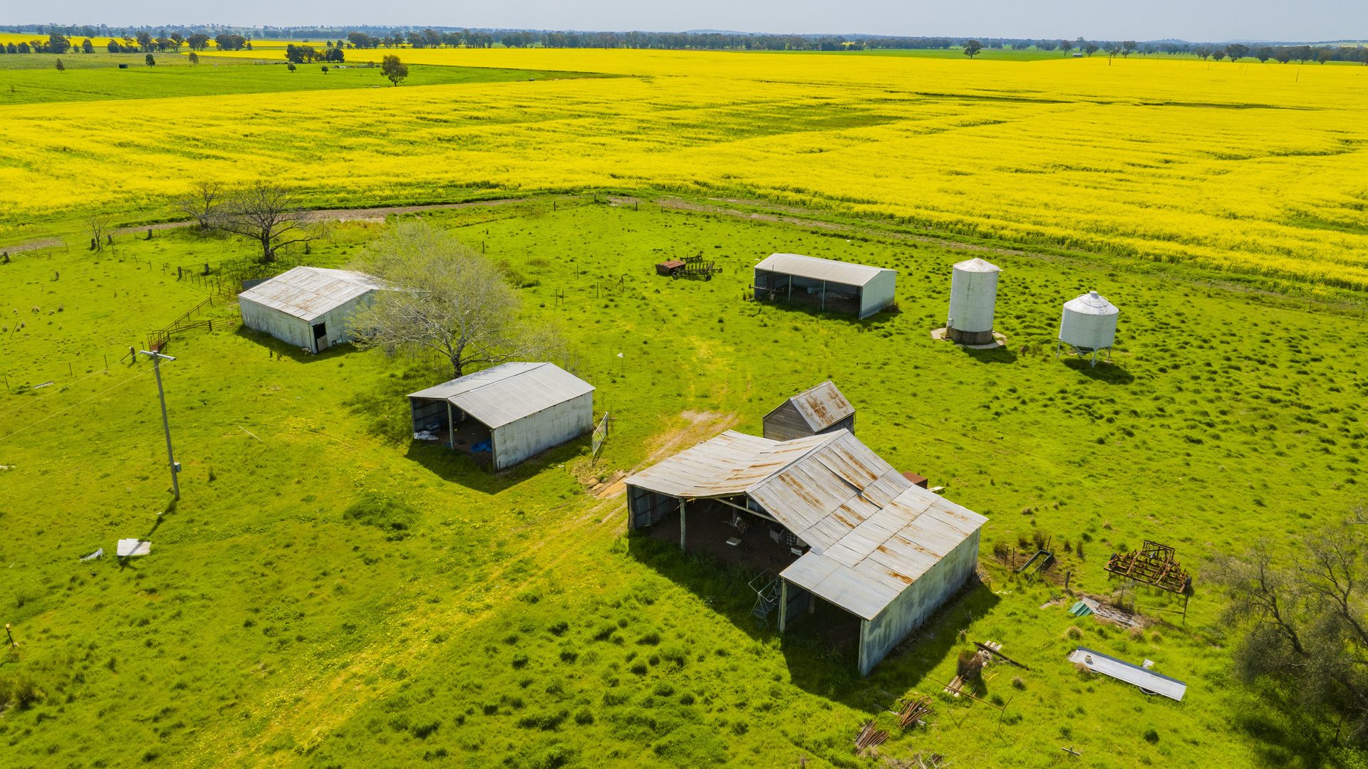 For Sale - 93 Racecourse Lane - New Property in Stockinbingal - Real Estate by Craig Pellow