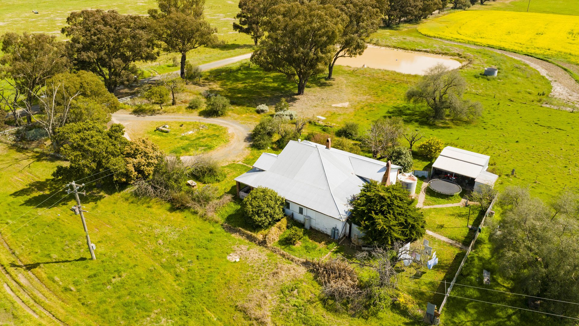 For Sale - 93 Racecourse Lane - New Property in Stockinbingal - Real Estate by Craig Pellow