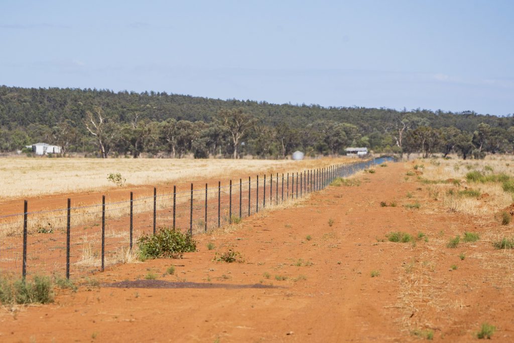 For Sale - 2880 Tallebung Road - New Property in Condobolin - Real Estate by Craig Pellow