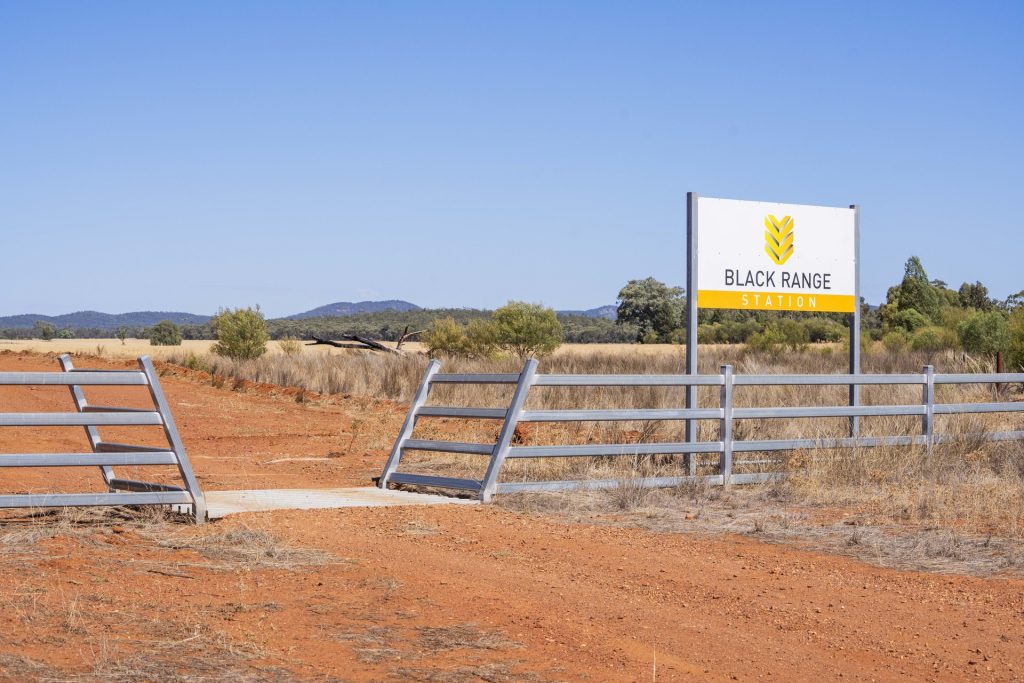 For Sale - 2880 Tallebung Road - New Property in Condobolin - Real Estate by Craig Pellow