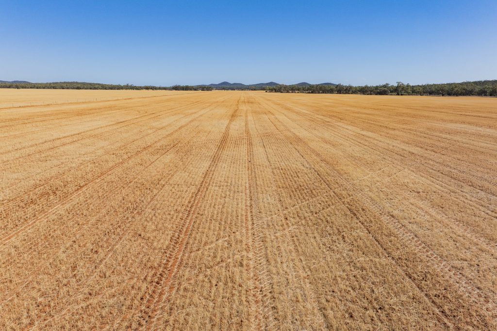 For Sale - 2880 Tallebung Road - New Property in Condobolin - Real Estate by Craig Pellow