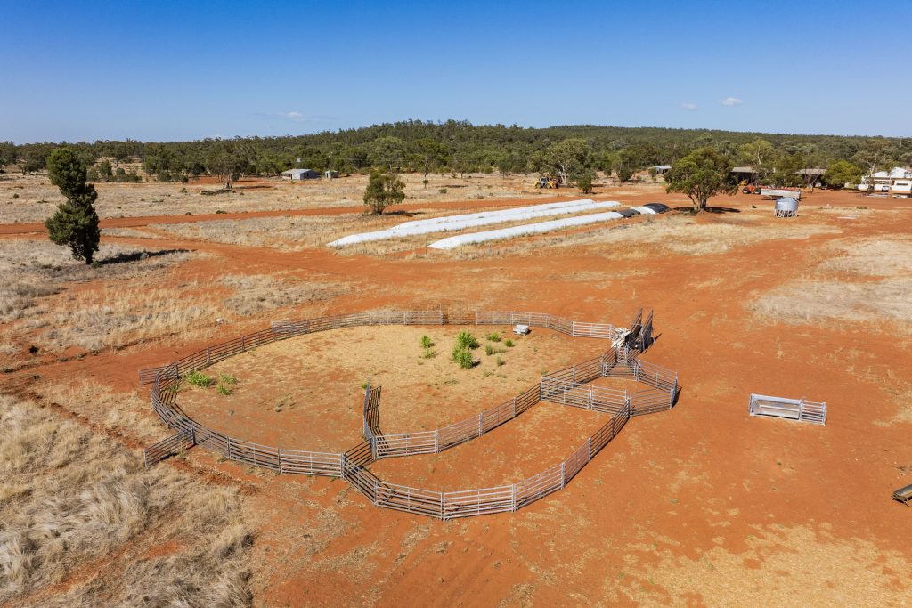 For Sale - 2880 Tallebung Road - New Property in Condobolin - Real Estate by Craig Pellow