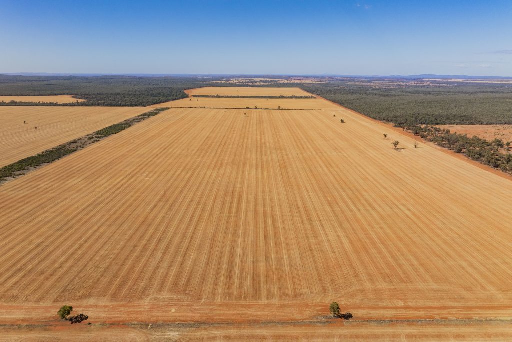 For Sale - 2880 Tallebung Road - New Property in Condobolin - Real Estate by Craig Pellow