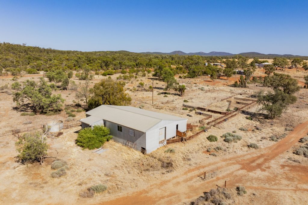For Sale - 2880 Tallebung Road - New Property in Condobolin - Real Estate by Craig Pellow