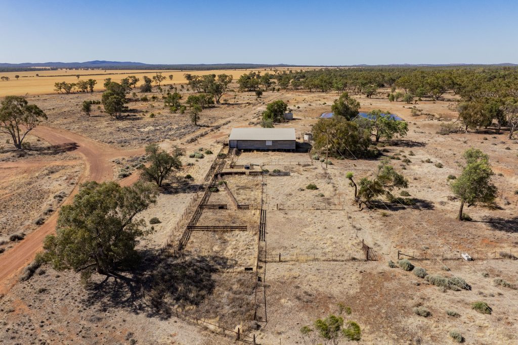 For Sale - 2880 Tallebung Road - New Property in Condobolin - Real Estate by Craig Pellow