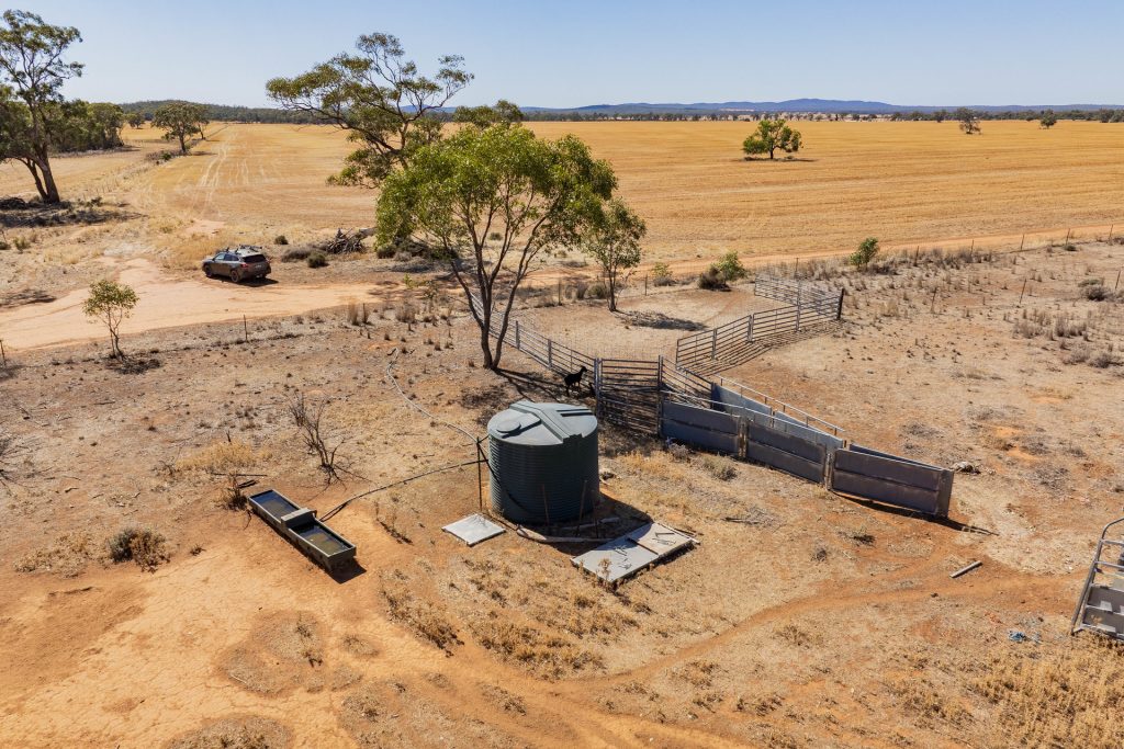 For Sale - 2880 Tallebung Road - New Property in Condobolin - Real Estate by Craig Pellow