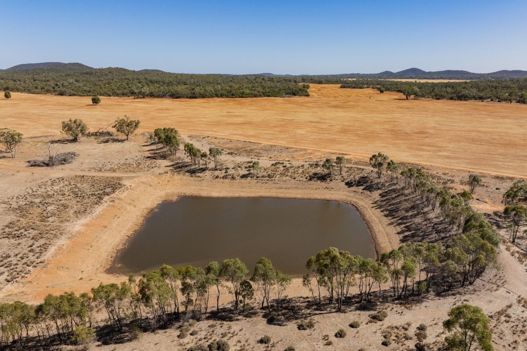 For Sale - 2880 Tallebung Road - New Property in Condobolin - Real Estate by Craig Pellow