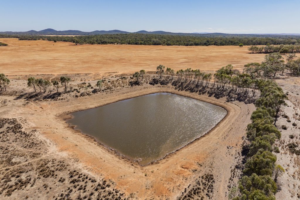 For Sale - 2880 Tallebung Road - New Property in Condobolin - Real Estate by Craig Pellow