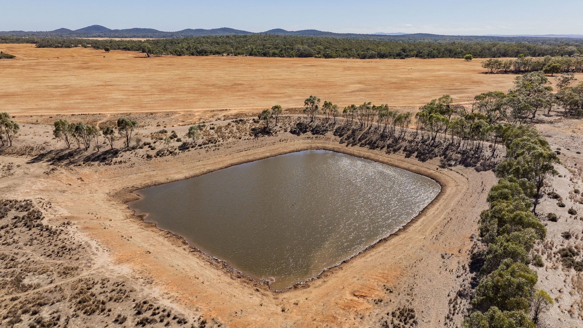 For Sale - 2880 Tallebung Road - New Property in Condobolin - Real Estate by Ian Simpson