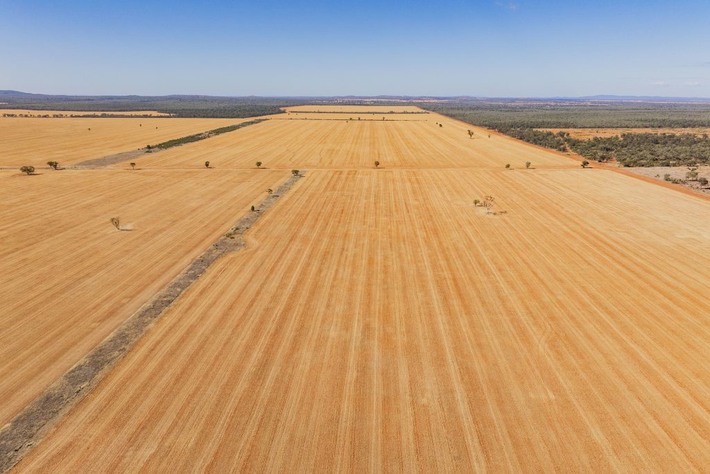 For Sale - 2880 Tallebung Road - New Property in Condobolin - Real Estate by Craig Pellow