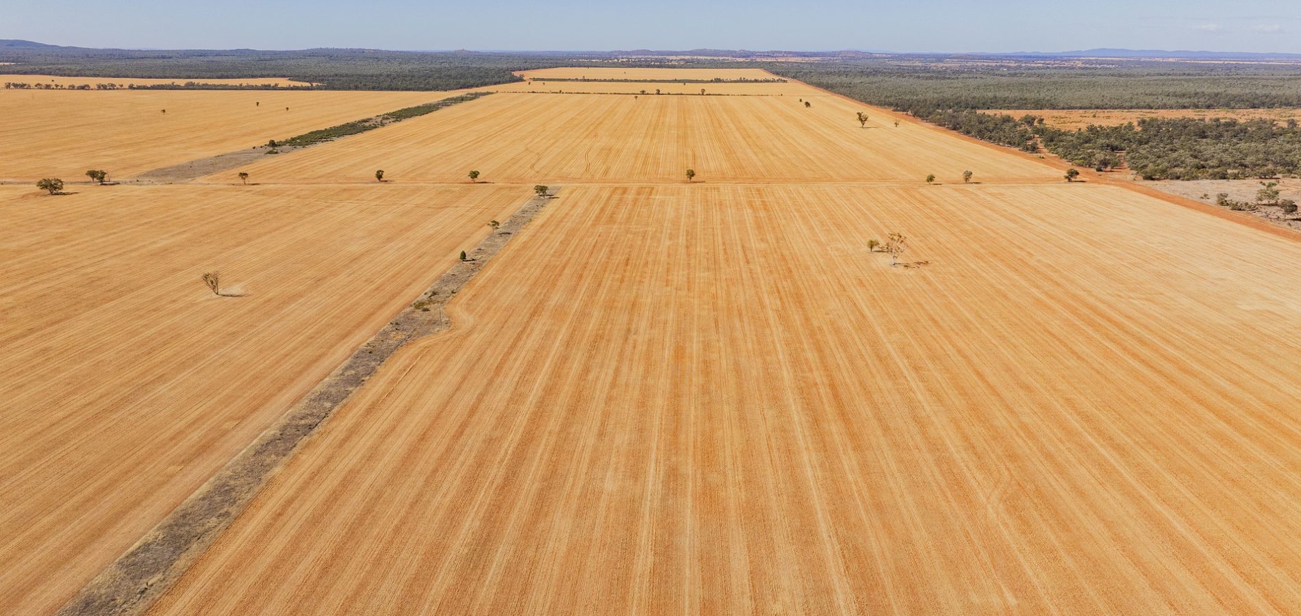 For Sale - 2880 Tallebung Road - New Property in Condobolin - Real Estate by Ian Simpson
