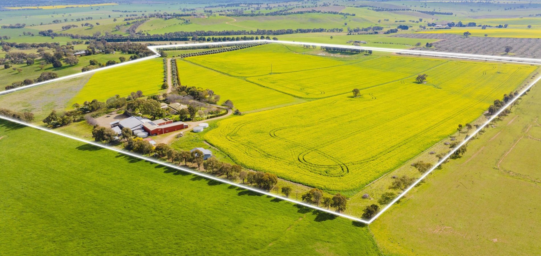 For Sale - 562 Pattersons Road - New Property in Wagga Wagga - Real Estate by Andrew Pellow