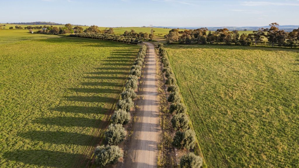 For Sale - 562 Pattersons Road - New Property in Wagga Wagga - Real Estate by Andrew Pellow
