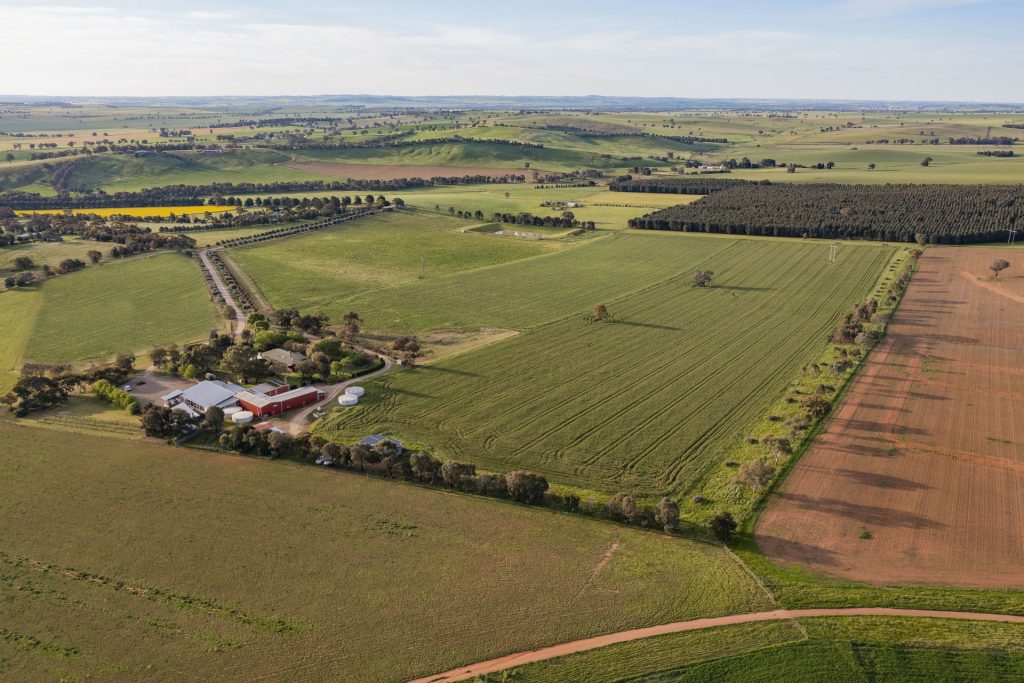 For Sale - 562 Pattersons Road - New Property in Wagga Wagga - Real Estate by Andrew Pellow