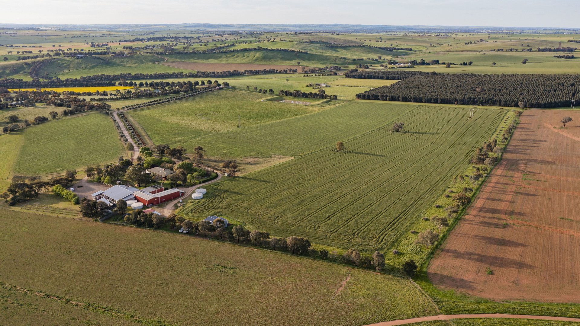 For Sale - 562 Pattersons Road - New Property in Wagga Wagga - Real Estate by Andrew Pellow
