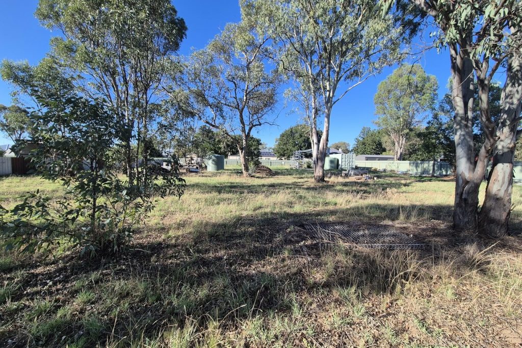Sold - 7 Wood Street - New Property in Stockinbingal - Real Estate by  