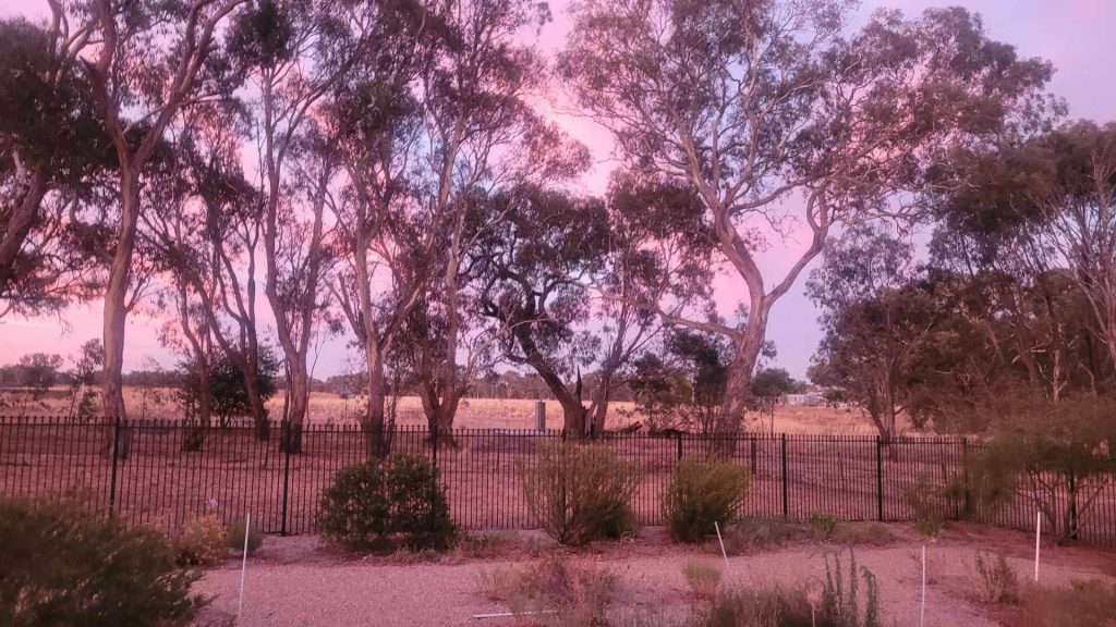 Sold - 43 Harold Conkey Avenue - New Property in Cootamundra - Real Estate by  