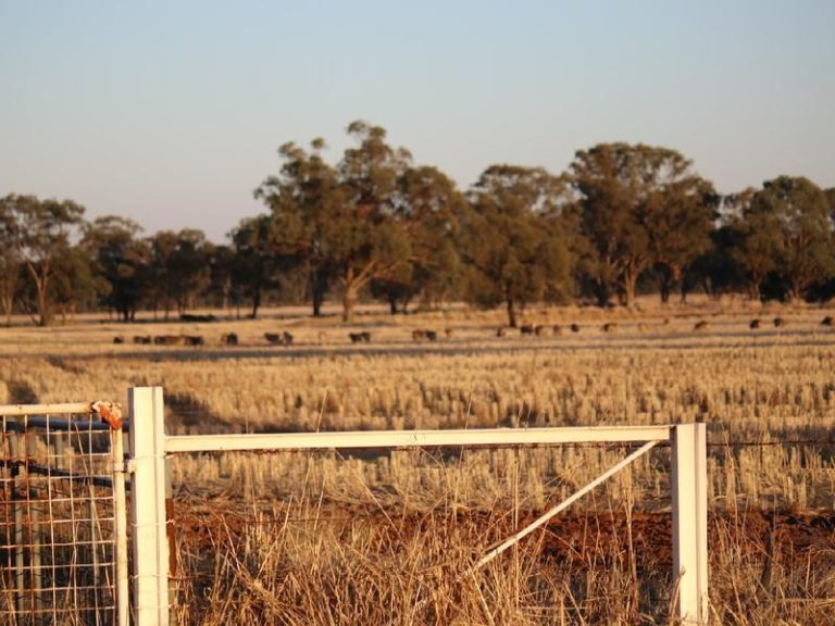 108 Mansfield Road, Temora