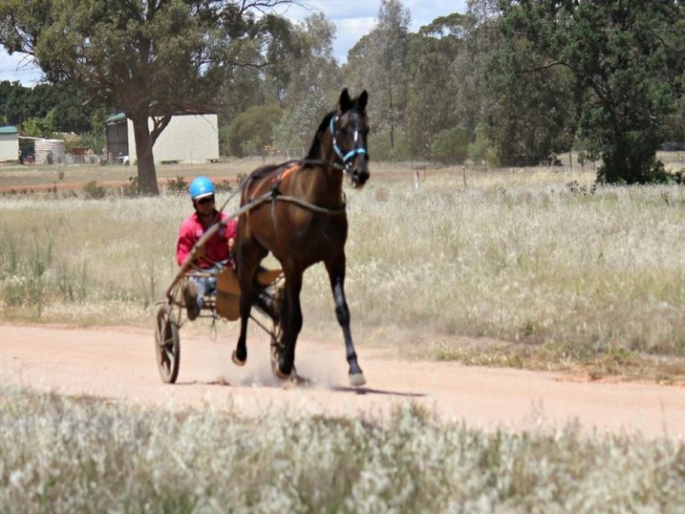 Sold - 37 Tewkesbury Road - New Property in Temora - Real Estate by 