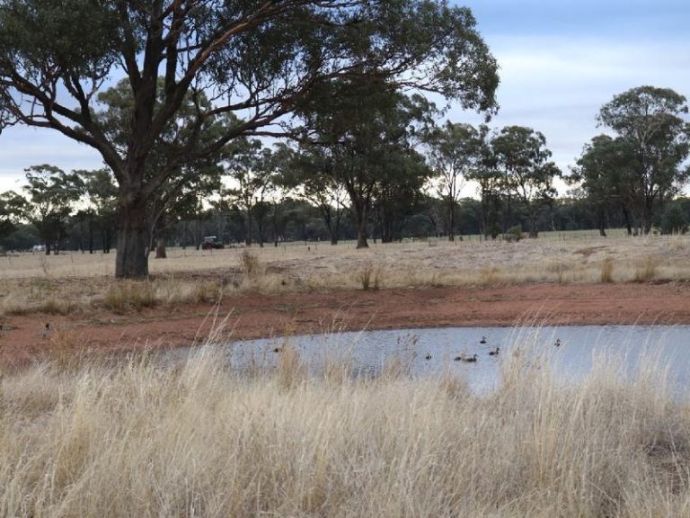 Sold - 108 Mansfield Road - New Property in Temora - Real Estate by Bev Pellow
