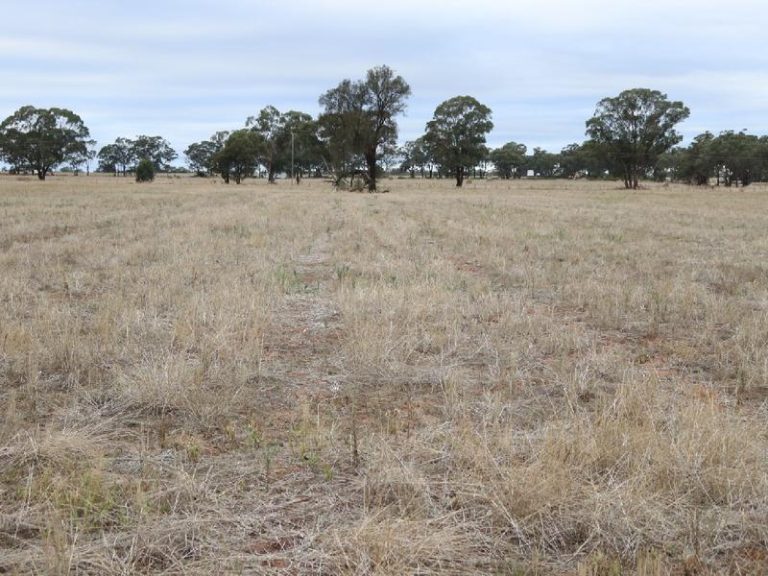 Sold - 108 Mansfield Road - New Property in Temora - Real Estate by Bev Pellow