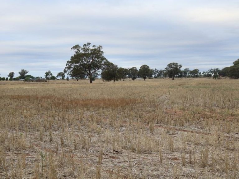 Sold - 108 Mansfield Road - New Property in Temora - Real Estate by Bev Pellow