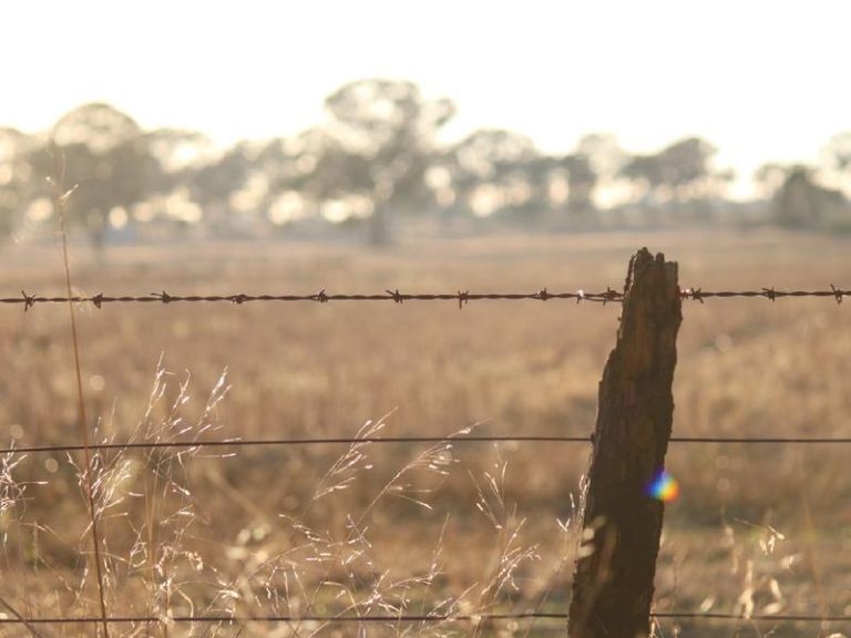 Sold - 108 Mansfield Road - New Property in Temora - Real Estate by Bev Pellow