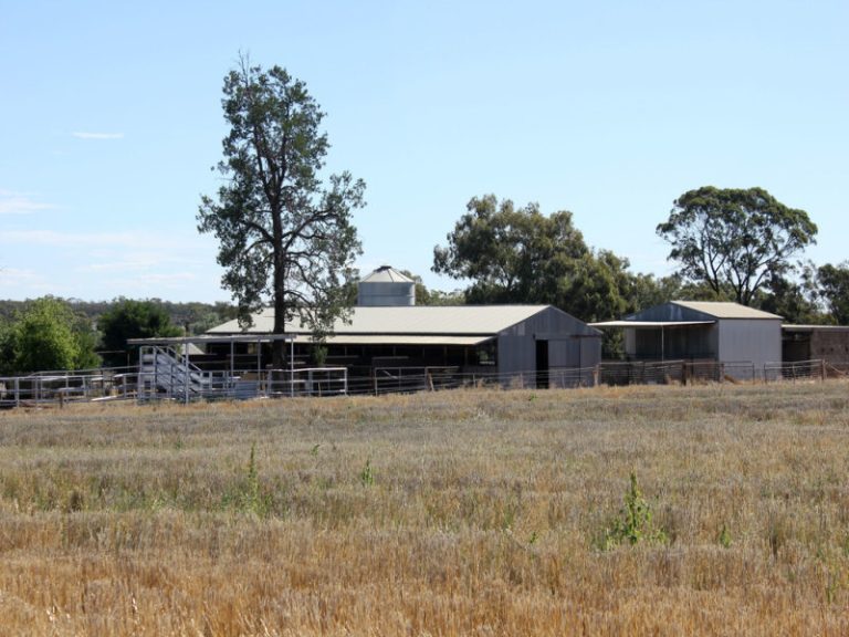 Sold - 37 Tewkesbury Road - New Property in Temora - Real Estate by 