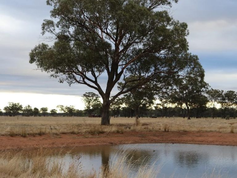Sold - 108 Mansfield Road - New Property in Temora - Real Estate by Bev Pellow