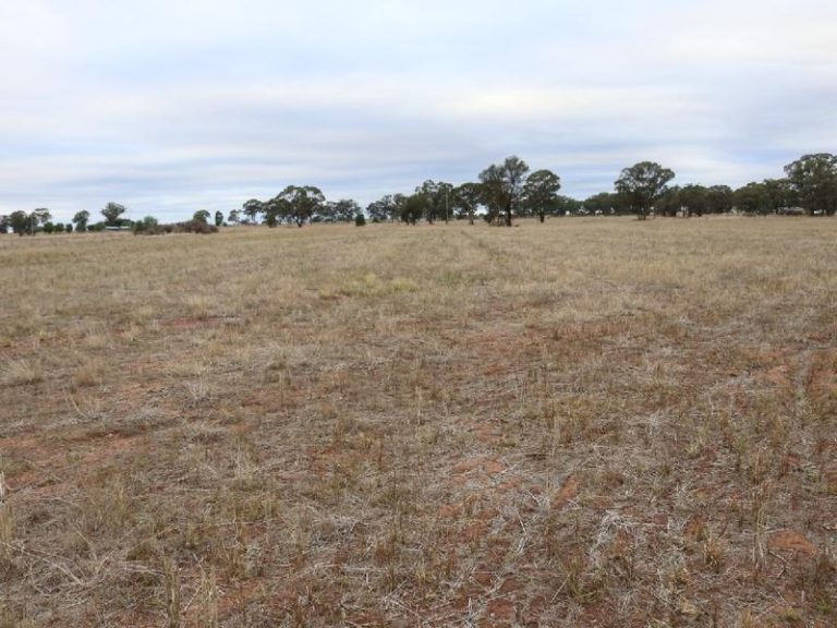 Sold - 108 Mansfield Road - New Property in Temora - Real Estate by Bev Pellow