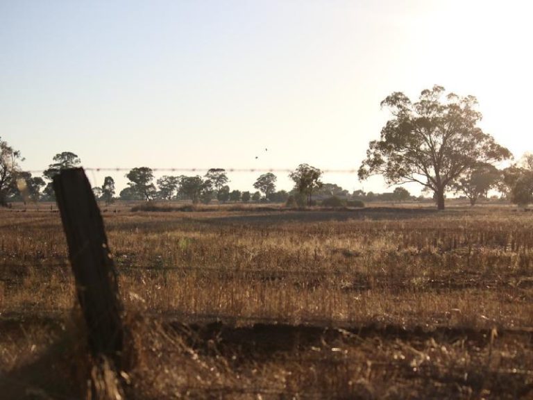 Sold - 108 Mansfield Road - New Property in Temora - Real Estate by Bev Pellow