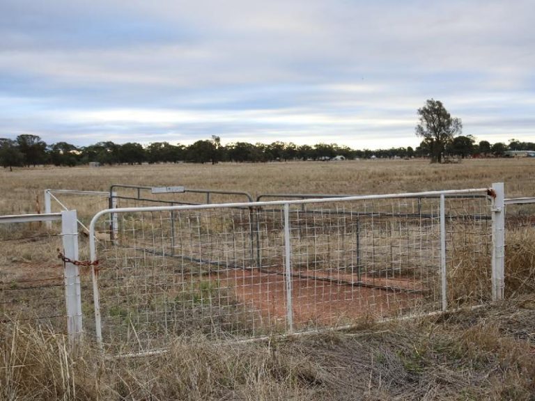 Sold - 108 Mansfield Road - New Property in Temora - Real Estate by Bev Pellow