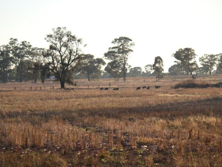 Sold - 108 Mansfield Road - New Property in Temora - Real Estate by Bev Pellow