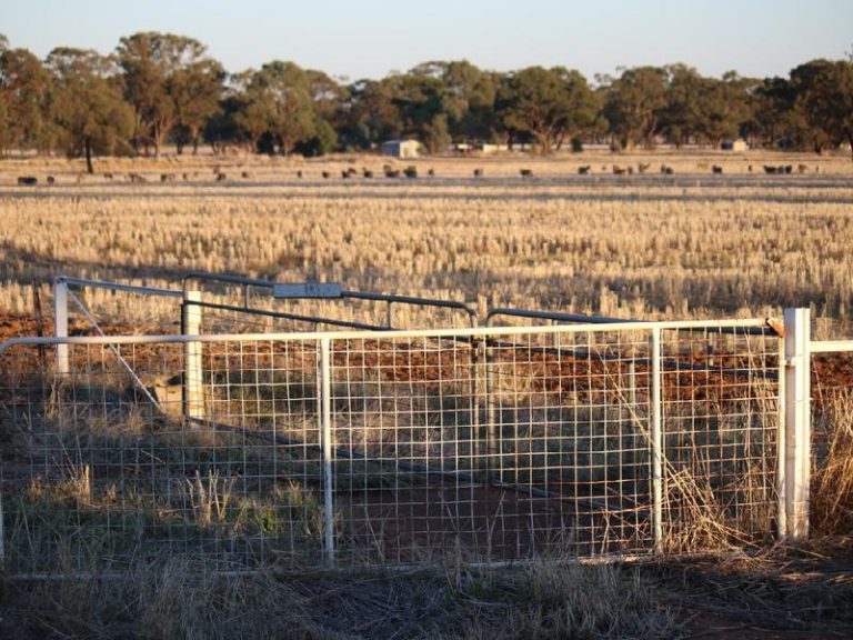 Sold - 108 Mansfield Road - New Property in Temora - Real Estate by Bev Pellow