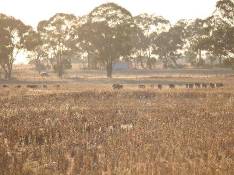Sold - 108 Mansfield Road - New Property in Temora - Real Estate by Bev Pellow