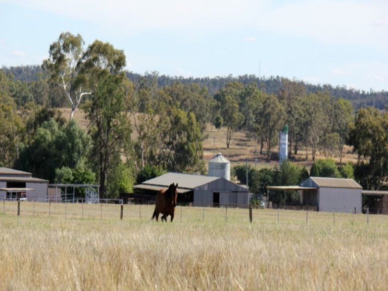Sold - 37 Tewkesbury Road - New Property in Temora - Real Estate by 