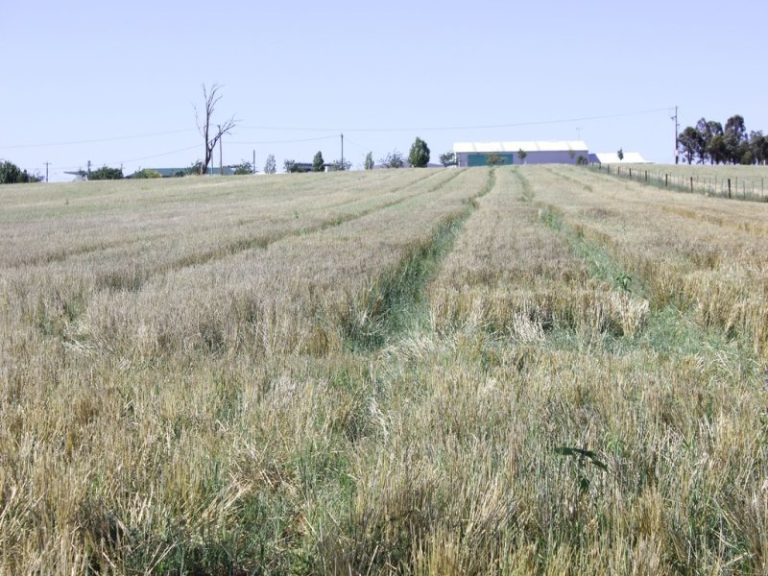 Sold - 37 Tewkesbury Road - New Property in Temora - Real Estate by 