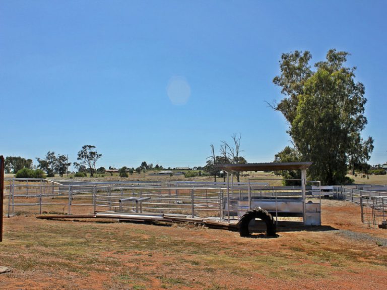 Sold - 37 Tewkesbury Road - New Property in Temora - Real Estate by 